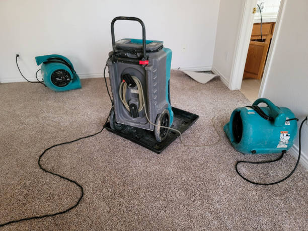 Best Sewage cleanup and water damage restoration  in Diberville, MS