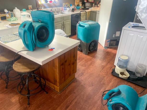 Reliable Diberville, MS Water damage restoration Solutions