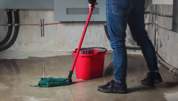 Best Commercial water damage restoration  in Diberville, MS