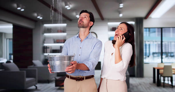 Best Residential water damage restoration  in Diberville, MS